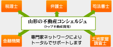専門化ネットワーク